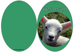 Biglietto Pasqua 2013